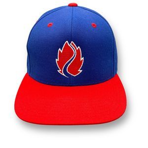 Hop Valley Brewing Co. Flat Bill Snapback Hat Twill Beer Eugene Oregon Blue Red